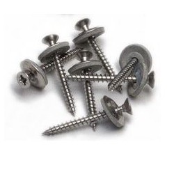 Roval rvs schroef + ring 4 x 40mm
