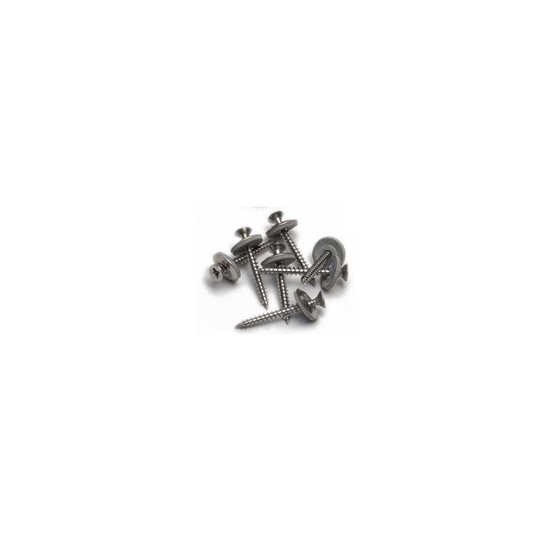 Roval rvs schroef + ring 4 x 40mm