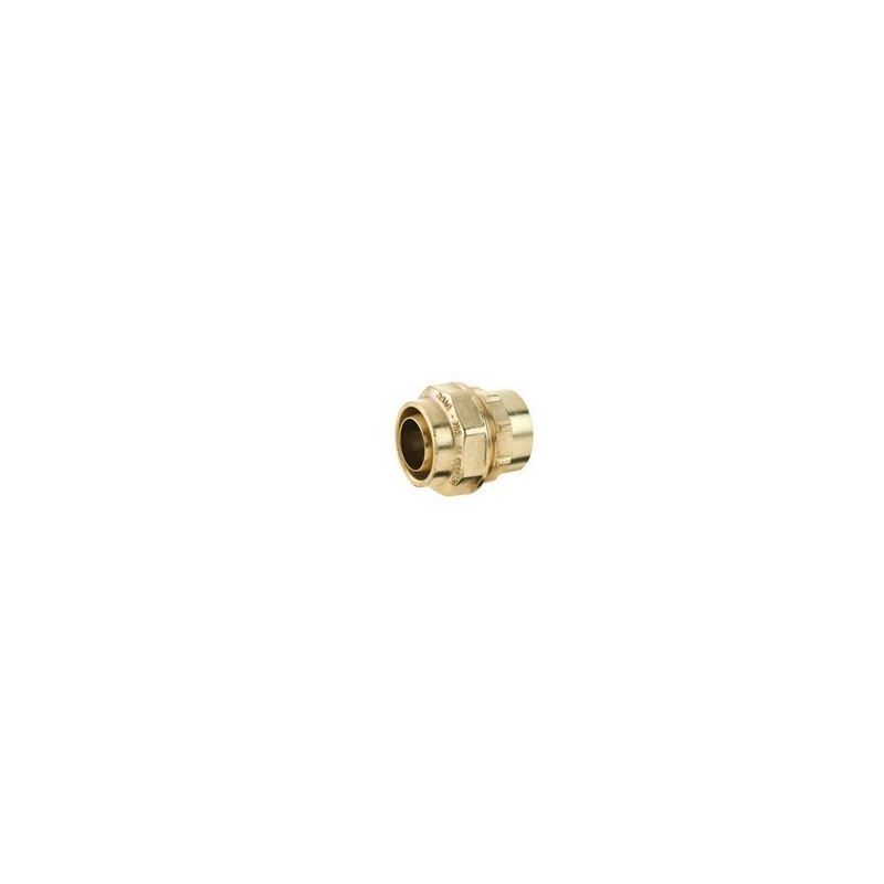Beulco PE koppeling cilindrische binnendraad 2" x 63 - 5,7/5,8mm