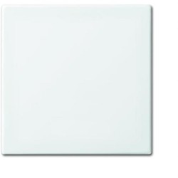 Bedieningswip voor wis kruis wis/2P SI-B-alpin wit ABB Busch-Jaeger