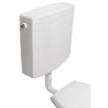 Plieger Weser laaghangend reservoir dual flush wit