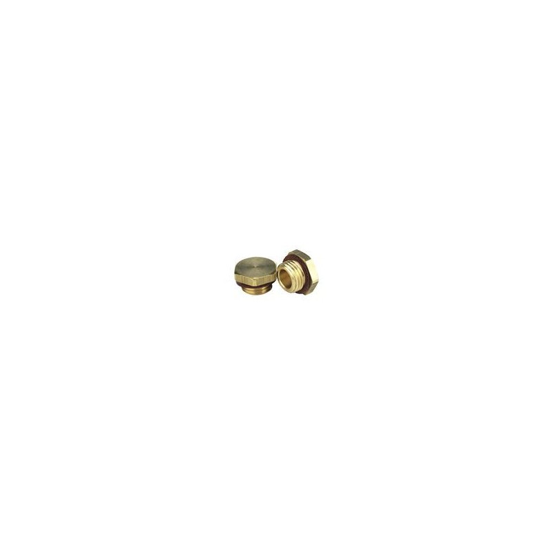 BONFIX Afdekstop 1/4" met geïntegreerde O-ring voor stopkraan