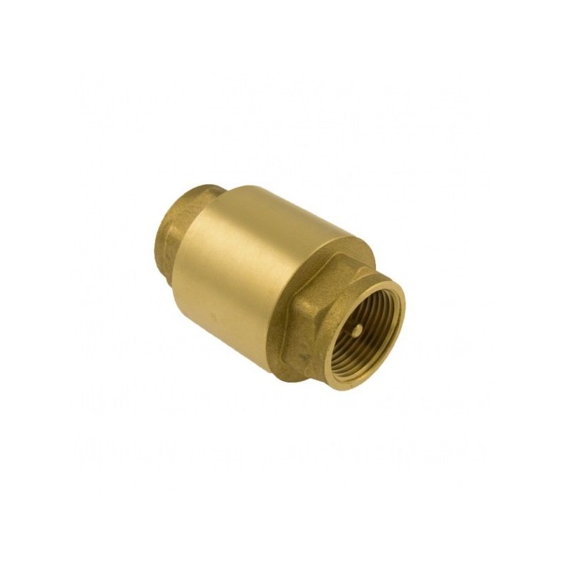 BONFIX Keerklep met messing insert 4"