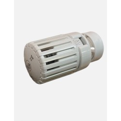 Giacomini R452X101 thermostatisch regelelement