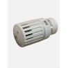 Giacomini R452X101 thermostatisch regelelement