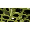 Stella Green grasplaat / grindplaat / grastegel 50 x 50 x 4cm groen
