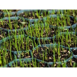 Stella Green grasplaat / grindplaat / grastegel 50 x 50 x 4cm zwart