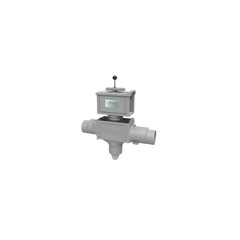 Trident 150 Boxfilter met skimmeroverloop tot 150m² dakopppervlak