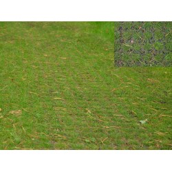 Stella Green grasplaat / grindplaat / grastegel 50 x 50 x 4cm groen