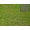 Stella Green grasplaat / grindplaat / grastegel 50 x 50 x 4cm groen