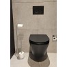Alonzo toiletrolhouder met reserverolhouder vrijstaand RVS geborsteld