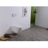 Sity wandcloset rimless toiletzitting softclose glans wit