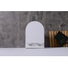Sity wandcloset rimless toiletzitting softclose glans wit