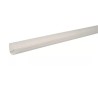 NICOLL Techtan LG16 PVC-Ti mastgoot L2m wit