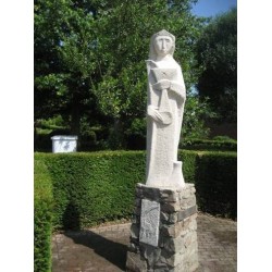 Biomix Pro ATM 5L aanslag reiniger
